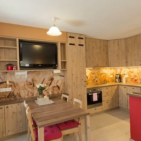 公寓 城市中心公寓 卢布尔雅那