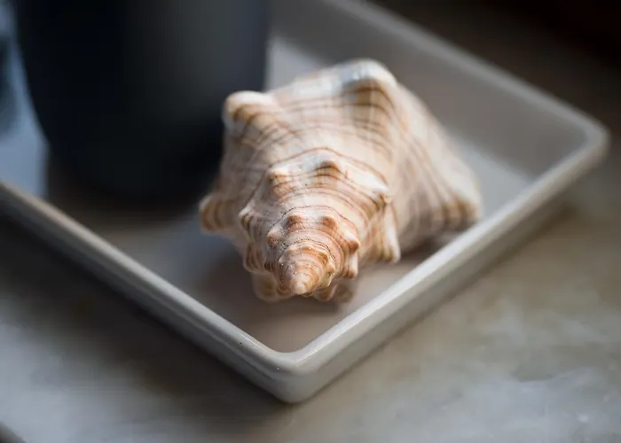 Appartamento Centre *