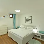 Centre Apartament